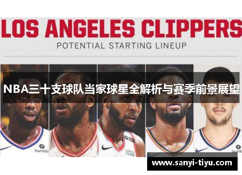 NBA三十支球队当家球星全解析与赛季前景展望