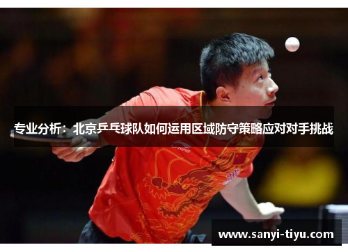 专业分析：北京乒乓球队如何运用区域防守策略应对对手挑战