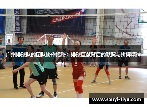 广州排球队的团队协作揭秘：排球巨献背后的默契与拼搏精神